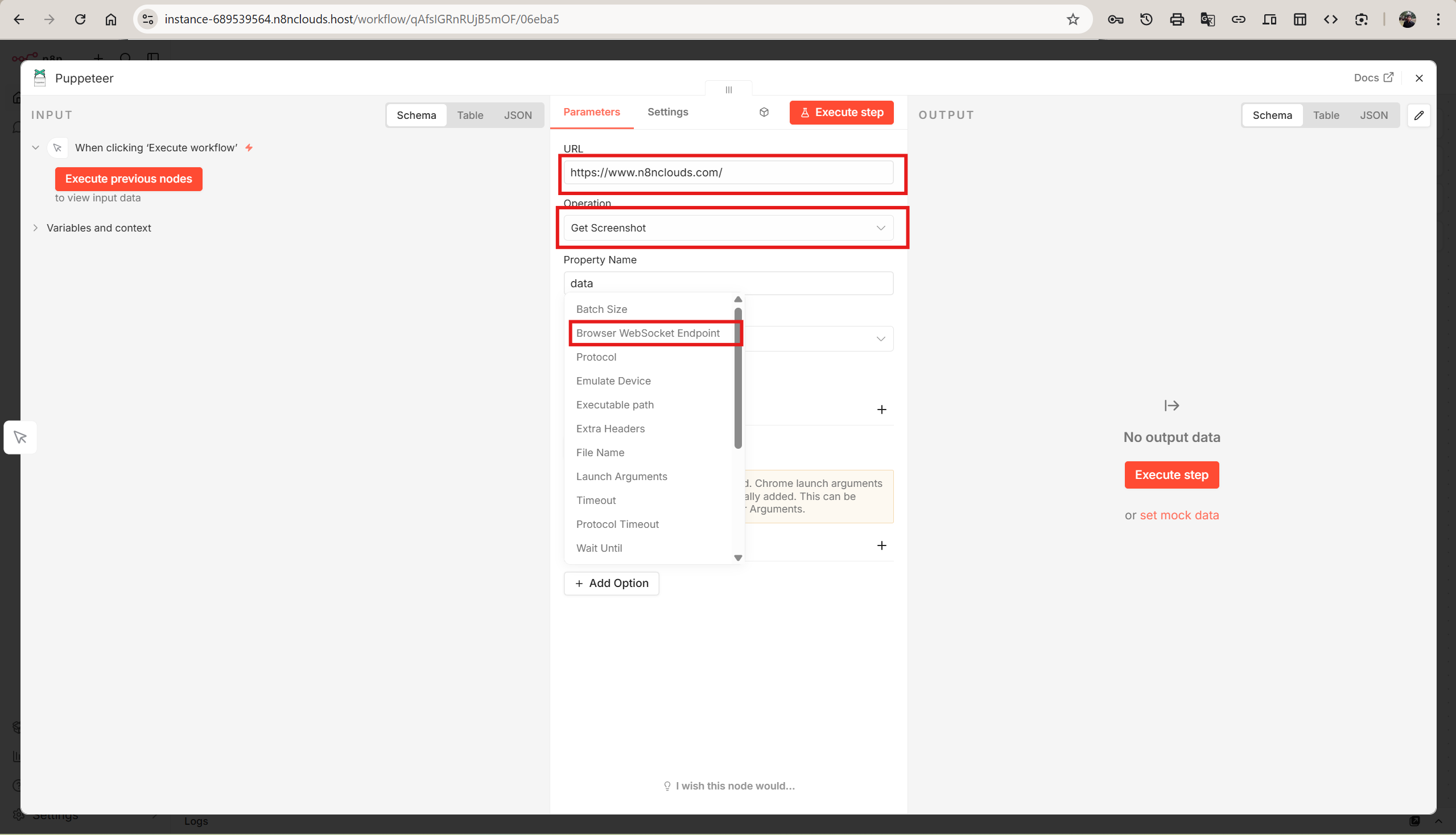 Puppeteer node configuration showing the Options dropdown with Browser WebSocket Endpoint, Protocol, Emulate Device, and other settings
